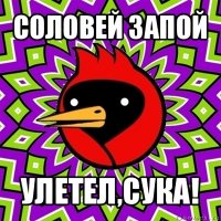 соловей запой улетел,сука!