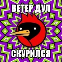 ветер дул скурился