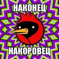 наконец накоровец