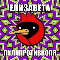 елизавета пилипротивколя