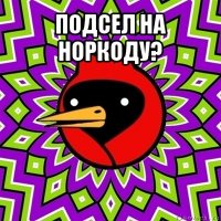 подсел на норкоду? 