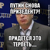 путин снова призедент?! придётся это терпеть.....