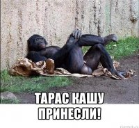  тарас кашу принесли!