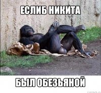 еслиб никита был обезьяной