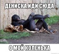 дениска,иди сюда о мой коленька