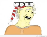 микроша 