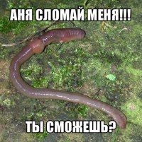 аня сломай меня!!! ты сможешь?