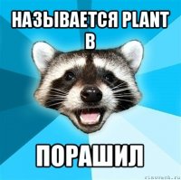 называется plant b порашил