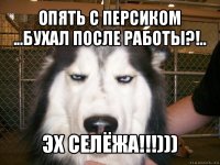 опять с персиком ...бухал после работы?!.. эх селёжа!!!)))