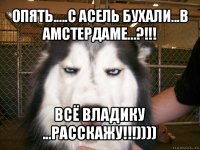 опять.....с асель бухали...в амстердаме...?!!! всё владику ...расскажу!!!))))