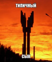 типичный сык