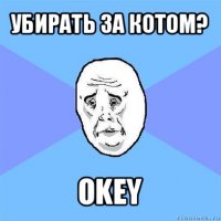 убирать за котом? okey