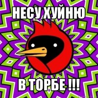 несу хуйню в торбе !!!