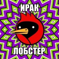 ирак лобстер