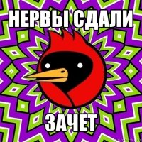 нервы сдали зачет