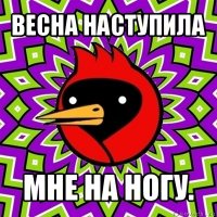 весна наступила мне на ногу.