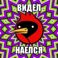 видел наелся