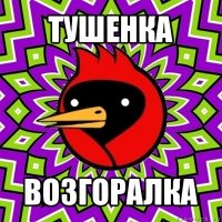 тушенка возгоралка