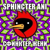 sphincter ani сфинктер жени