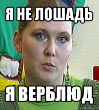 я не лошадь я верблюд