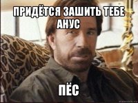 придётся зашить тебе анус пёс