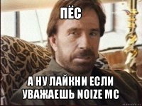 пёс а ну лайкни если уважаешь noize mc