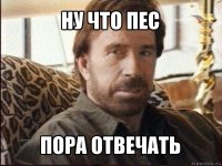 ну что пес пора отвечать