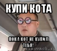 купи кота пока кот не купил тебя!