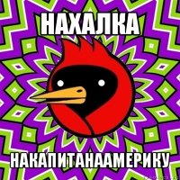 нахалка накапитанаамерику