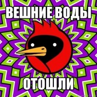 вешние воды отошли