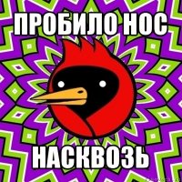 пробило нос насквозь