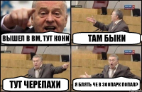 Вышел в ВМ, тут кони там быки тут черепахи я блять че в зоопарк попал?