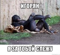 игорян я за тобой слежу