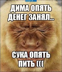 дима опять денег занял... сука опять пить (((