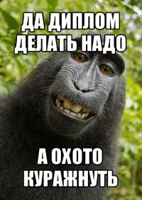 да диплом делать надо а охото куражнуть