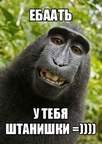 ебаать у тебя штанишки =))))