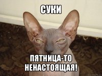 суки пятница-то ненастоящая!