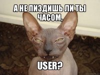 а не пиздишь ли ты часом, user?