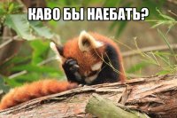 каво бы наебать? 