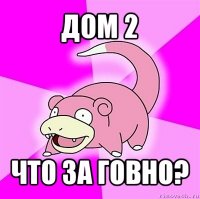 дом 2 что за говно?