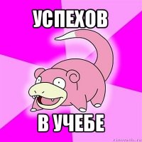 успехов в учебе