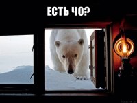 есть чо? 