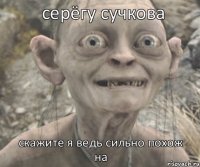 скажите я ведь сильно похож на серёгу сучкова