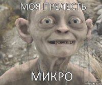 МИКРО МОЯ ПРЕЛЕСТЬ