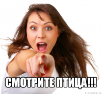  смотрите птица!!!