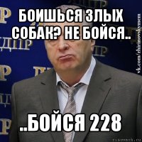 боишься злых собак? не бойся.. ..бойся 228