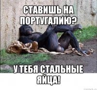 ставишь на португалию? у тебя стальные яйца!