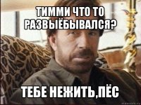 тимми что то развыёбывался? тебе нежить,пёс