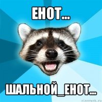 енот... шальной_енот...