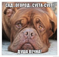 сад...огород...суета-сует! душа вечна!